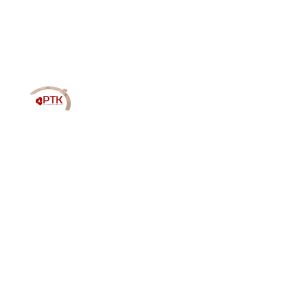 Полукольцо 650-1005194-Р упорного подшипника